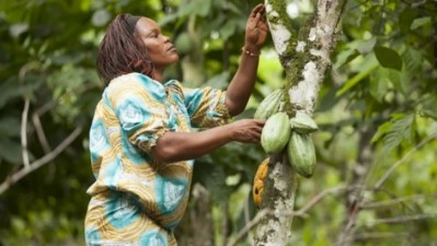 Through its Cocoa for Generations strategy, Mars said it is committed to creating a 100% sustainable supply-chain. Pic: Mars Incorporated