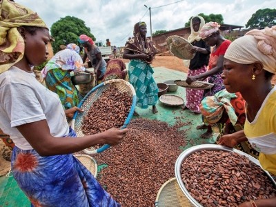 'Fairtrade helps women achieve equality in agriculture by educating them in business, negotiation and finance skills'. Pic: Fairtrade