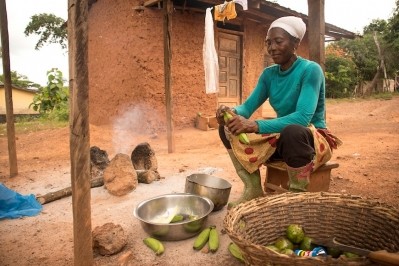 Fairtrade’s West Africa Cocoa Programme provide training, coaching and advisory support to Fairtrade certified cocoa cooperatives and their farmer members. Pic: Fairtrade International
