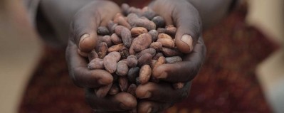 New research from Cargill suggests consumers are willing to pay more for sustainable cocoa. Pic: Cargill