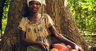 Nestlé said it is committed to sourcing its cocoa 100% by 2025 form its Cocoa Plan. Pic: Nestlé 