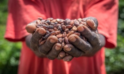 This year's ACCE conference will focus on attracting younger people back into the cocoa industry. Pic: ACCE