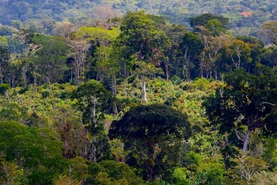 Brazil is one of the major cocoa growing countries that will be impacted by the new EU deforestation rules. Pic: WCF