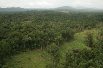 'The state of the world’s tropical forests could not be more urgent'. Pic: Rainforest Alliance