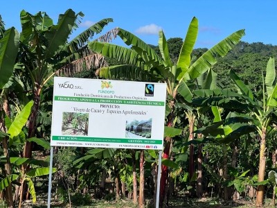 The FUNDOPO organic farm cooperative in the Dominican Republic adheres to Fairtrade Certification standards. Pic: CN