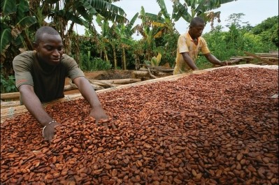 Cocoa farmers and their communities benefit from the promotion of sustainable beans. Pic: Barry Callebaut
