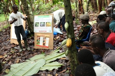 Barry Callebaut introduces new farmer practices in West Africa to improve income. Pic: Barry Callebaut