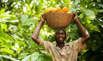 Cocoa and flower growers experienced the strongest rebounds in 2021, according to Fairtrade. Pic: Fairtrade