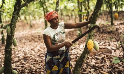 Over 200  female cocoa farmers have benefited from the Magnum programme to date. Pic: Fairtrade