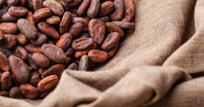Ofi said boosting cocoa yields could be a way to help farmers earn more using the same amount of land. Pic: ofi