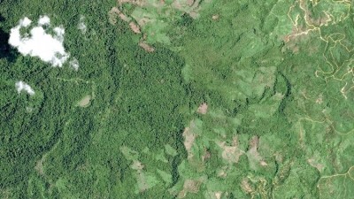 Satellite technology by Starling is playing a key role in stopping deforestation. Pic: Starling