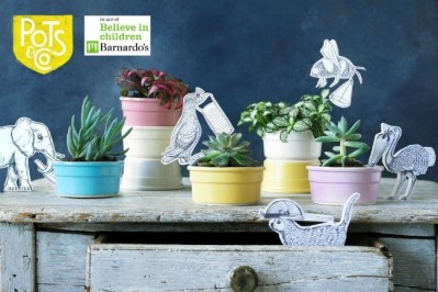 All in a good cause: Pots & Co's colourful ceramic pots. Pic: Pots & Co