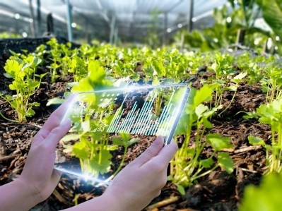 The agrifood sector needs to foster collaborative efforts between governments, industry players, and technology providers to develop scalable and cost-effective solutions for traceability. GettyImages/phyttaphat tipsana