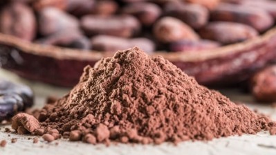 Cocoa and red berries may improve cardiovascular health in aging adults