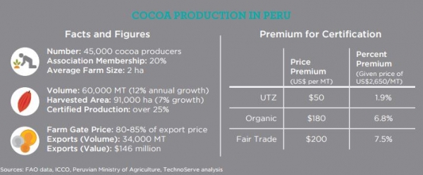 Cocoa in Peru