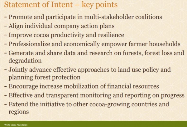 statement of intent wcf idh