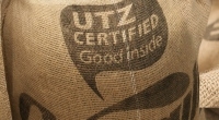 UTZ cocoa