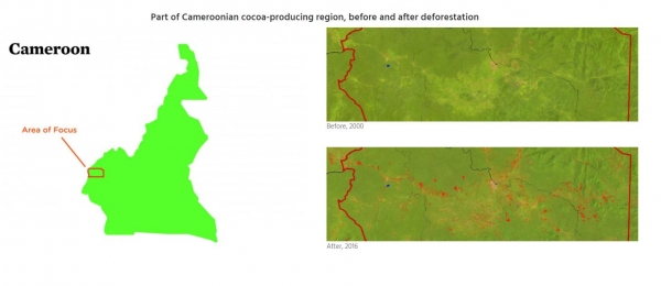 cameroon mapping