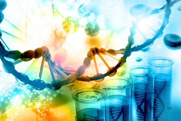iStock-HYWARDS DNA genes genetics