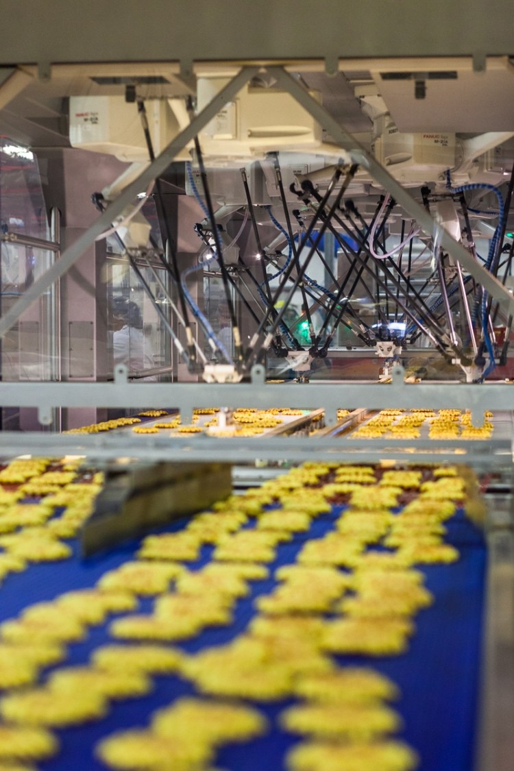 Biscuiterie Thijs increases waffle production by over 30%