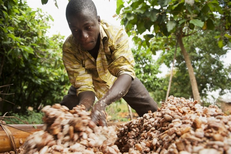 “Every year we wait to see how the sales for the season will turn out and this makes it difficult to plan well," says cocoa Fairtrade farmer. Photo credit: Fairtrade International 