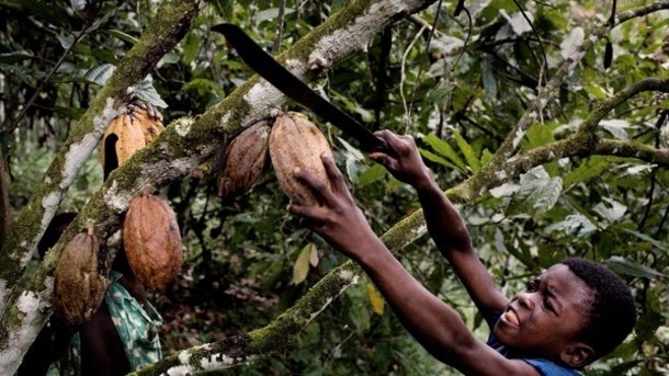 NGO pushes Mondelēz for a public deadline to certify its entire cocoa supply to combat child trafficking. Photo Credit: Make Chocolate Fair