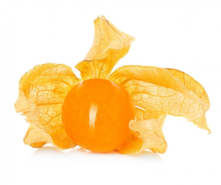 Frutarom's Incaberrix extract is derived from physalis, a fruit eaten by the Incas before battle as a source of energy
