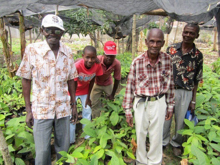 Rural Haitians turn to cocoa farming as the origin wins plaudits among premium chocolatiers