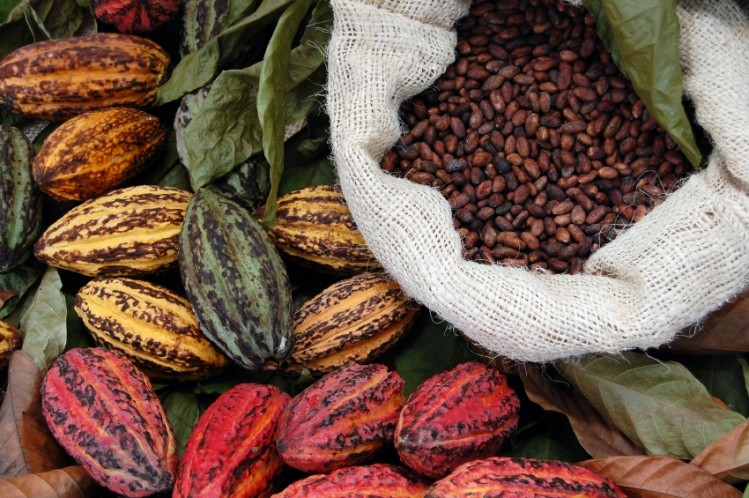 Lindt plans fully-traceable cocoa by 2020. 75% is currently traceable, mostly from Ghana.