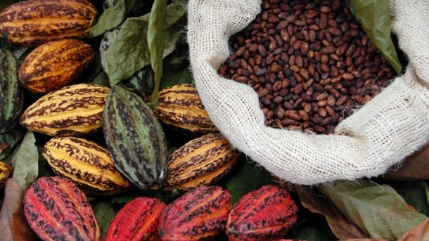 “Cocoa is cyclical and companies here are used to that," says NCA.