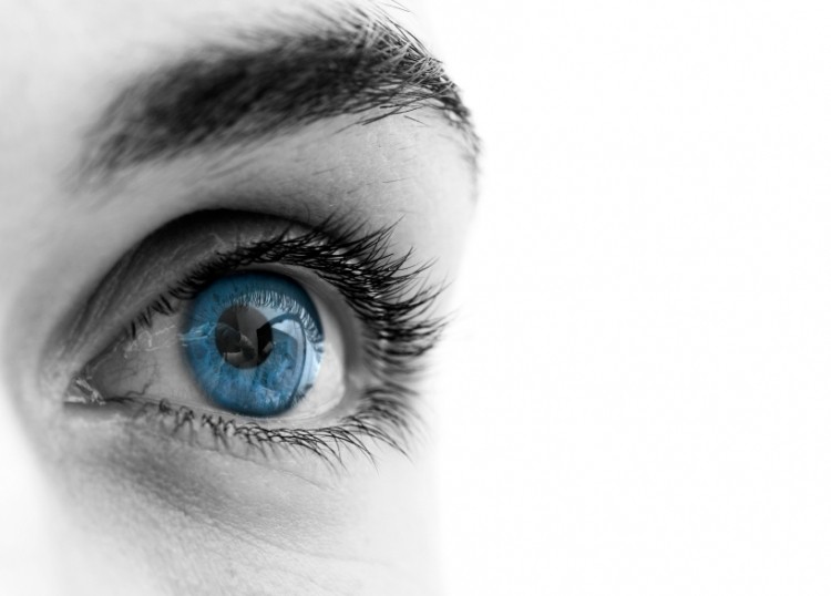 Vision Gum designed to maintain eye health