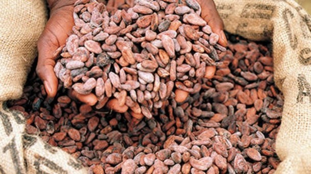 Cocoa grind up in Europe, but chocolate market set to grow slower than the global rate