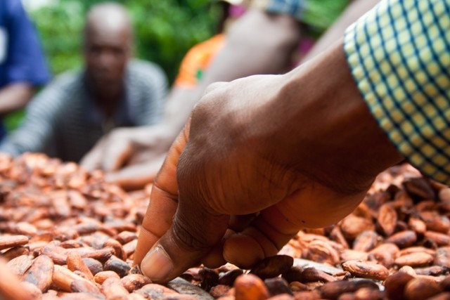 Certification equips farmers to lead better lives and to tackle the global cocoa deficit: UTZ Certified