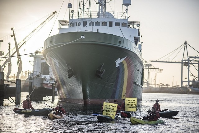Rotterdam port - Europe's biggest - is 'palm oil’s gateway into Europe'. Image: © Greenpeace