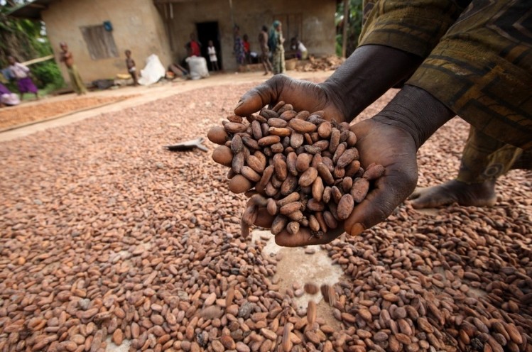 At what price? Chocolate industry cocoa sustainability efforts miss core of the problem: Extreme poverty. Photo Credit: Oxfam America