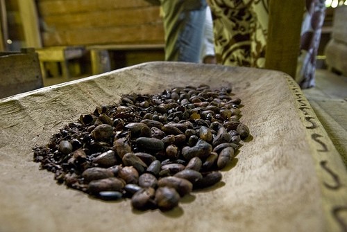 Is cocoa certification beneficial for farmers and manufacturers? Photo credit: Flickr cstrom