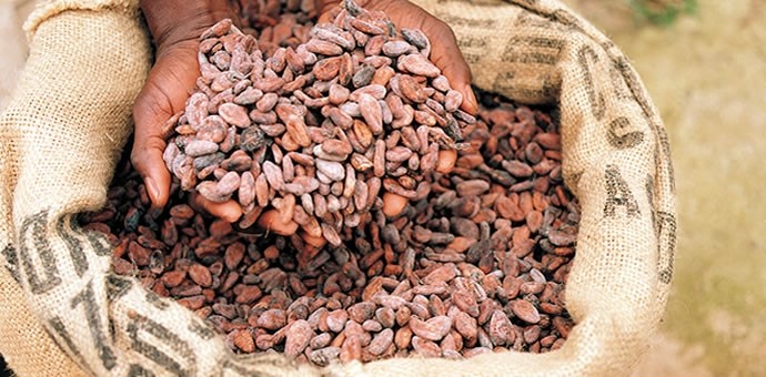 Mondelēz hopes to tackle cocoa supply chain instability and gender inequality in Indonesia with Cocoa Life project
