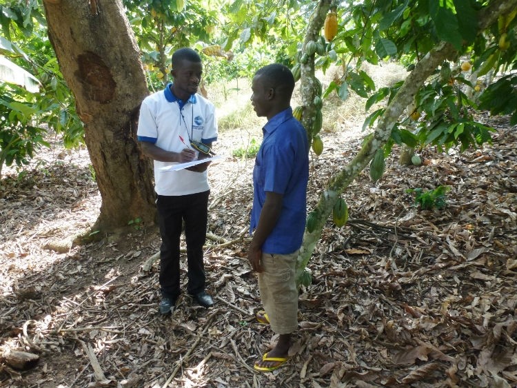 Farm mapping in West Africa will be increased under the WCF's joint action plans on deforestation. Pic: Lindt