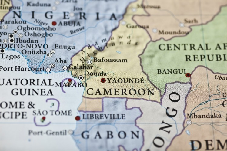 Cameroon produces about 300k tons of cocoa annually, but the government hopes that number increases with proper investment. Pic: Getty Images/