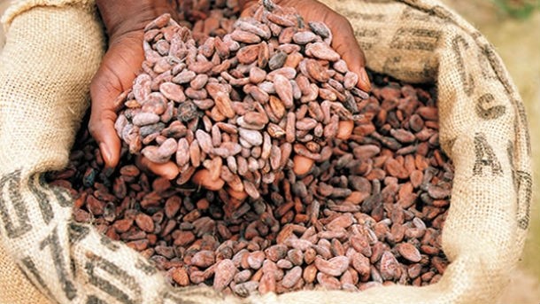 Ghana and Côte d'Ivoire have failed in their bid to set a minimum price for their cocoa