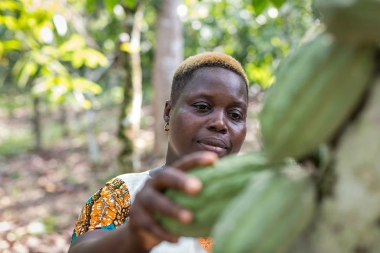 The Fairtrade report, ‘Chocolate’s Invisible Women,’ highlights how large numbers of women farmers face an even worse situation than their male counterparts. Pic; Fairtrade