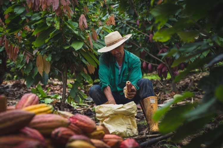Colombian chocolate producer Luker. Photo: courtesy of Andy Baxendale.