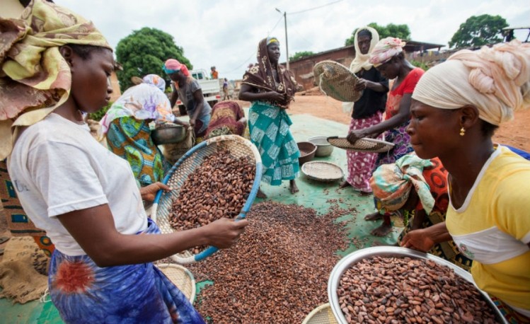 Fairtrade cocoa has a positive impact on the farmers and workers in its supply chain. Pic: Fairtrade International