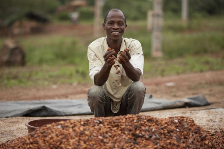 The EU wants to ensure a decent living income for Cote d'Ivoire's cocoa farmers. Pic: CN