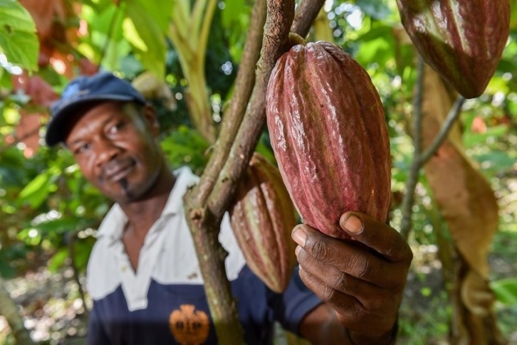 Cocoa farmers from Colombia to Cote d'Ivoire have benefitted from the partnership. Pic: SWISSCO