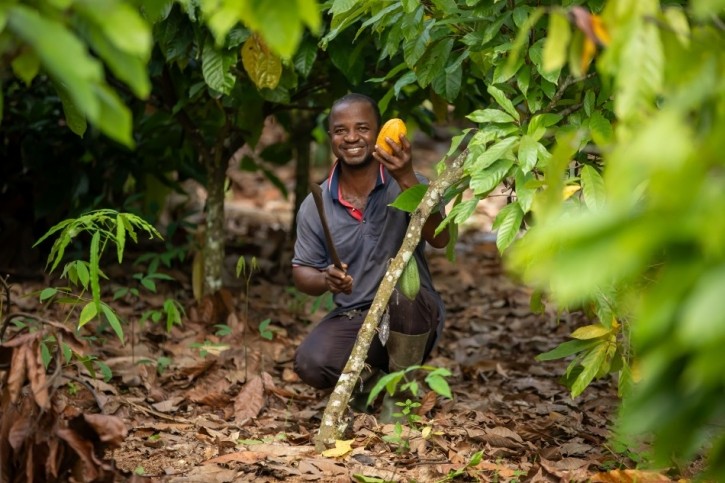 How will the EUDR affect small-holder cocoa farmers? Pic: WCF