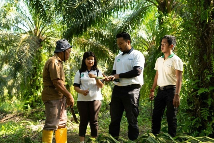 'Palm oil is here to stay, and so are small farmers,' said Musim Mas. Pic: Musim Mas
