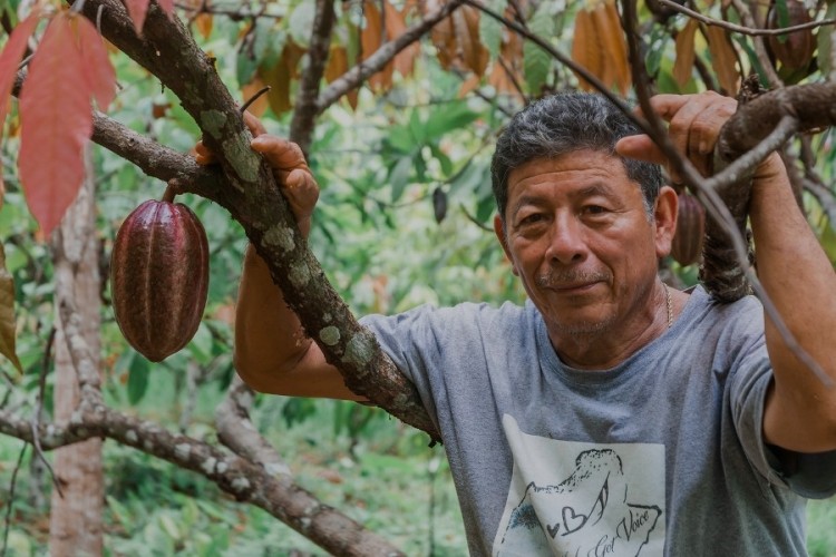 Bartolo Teul, a cocoa farmer from Toledo, Belize, supplies beans to Uncommon Cacao. Pic: Uncommon Cacao 