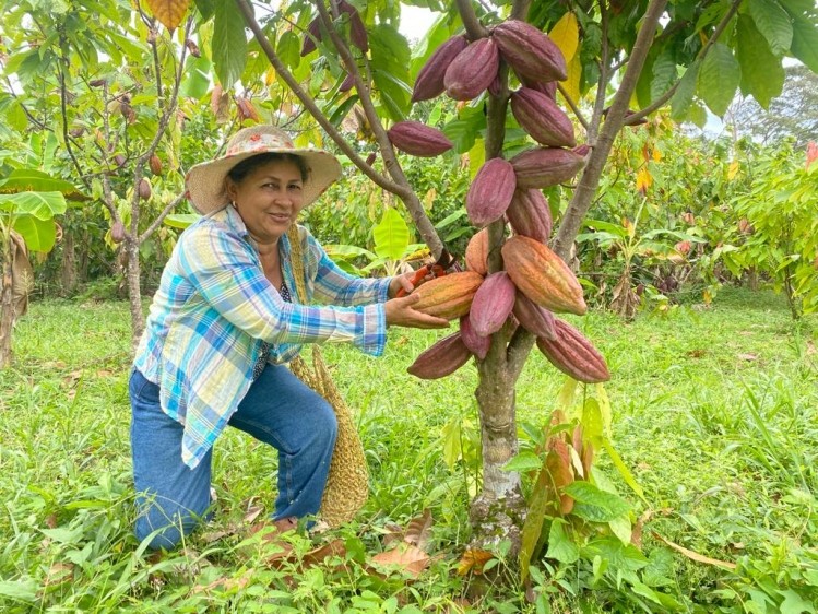 Colombian Cocoa farmer Eugenia Jimenez. Pic: Luker Chocolate