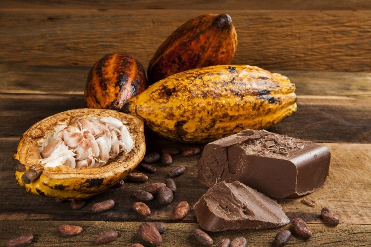 Cargill's increase in revenue was driven by chocolate and cocoa. Pic: ©GettyImages/PauloVilela 